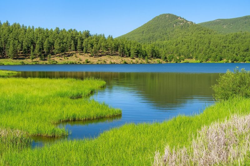 Best Shower Installation pros in Evergreen, CO